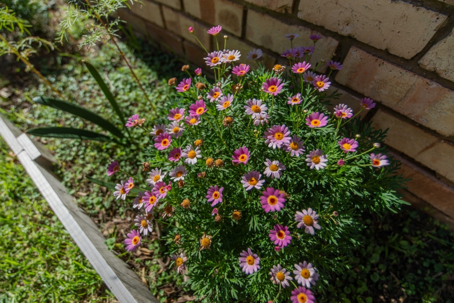 3 Bedroom Property for Sale in Newton Park Eastern Cape